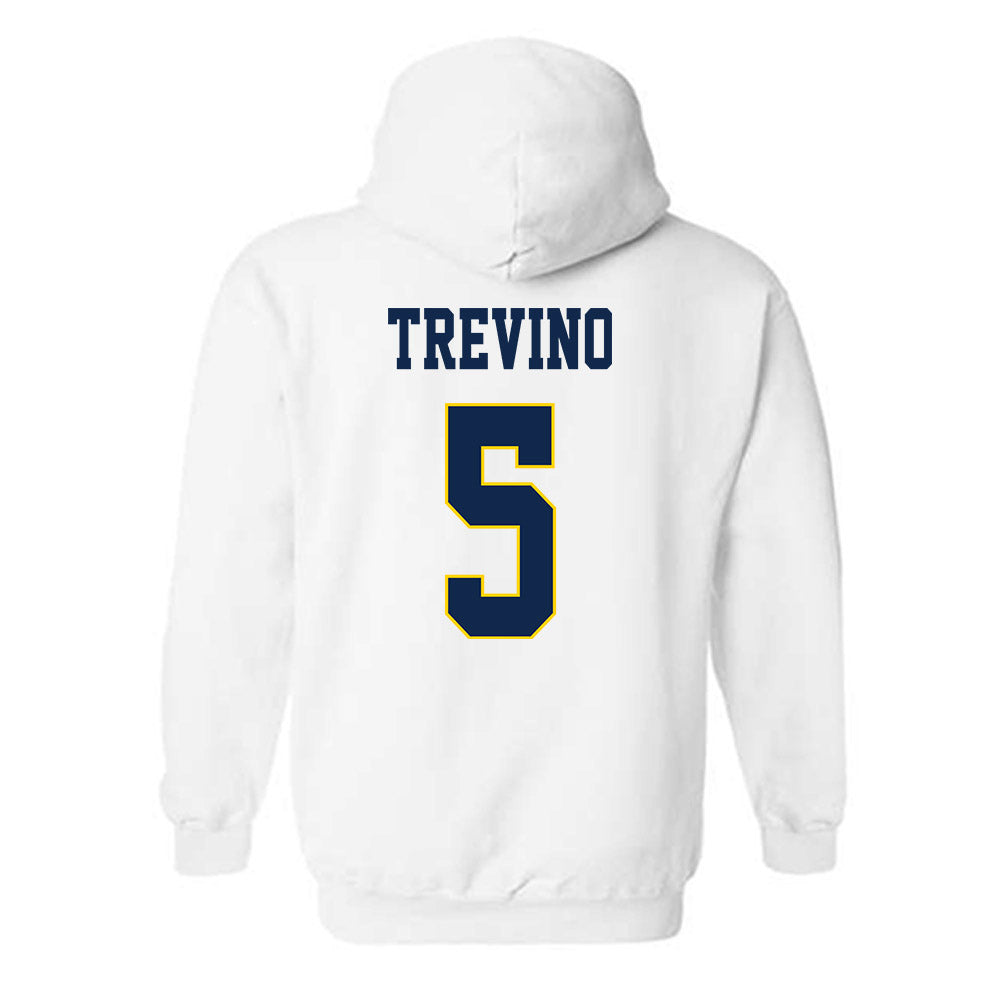 UCSD - NCAA Women's Soccer : Ellie Trevino - Classic Fashion Shersey Hooded Sweatshirt-1