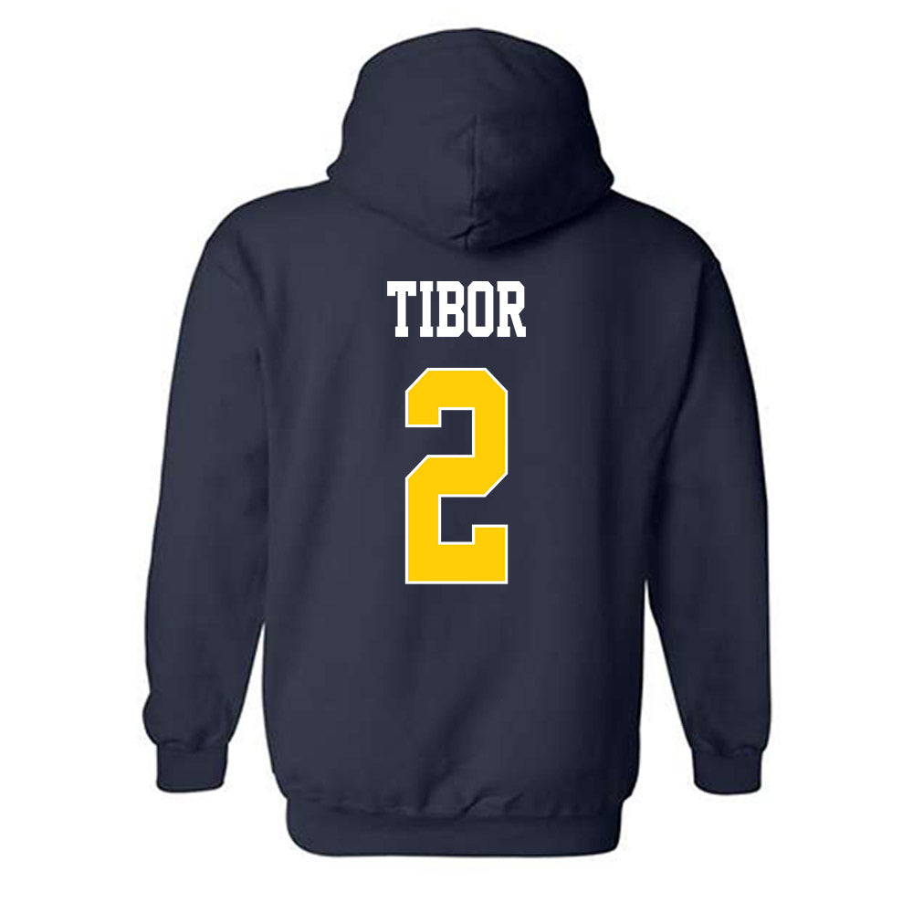 UCSD - NCAA Women's Soccer : Ava Tibor - Hooded Sweatshirt