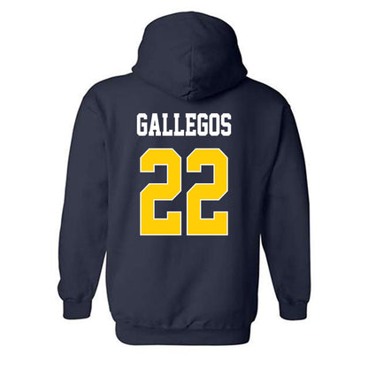 UCSD - NCAA Women's Basketball : Gracie Gallegos - Classic Shersey Hooded Sweatshirt-1