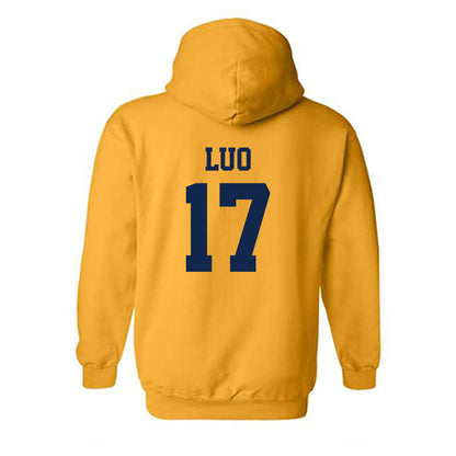 UCSD - NCAA Women's Soccer : Allison Luo - Classic Shersey Hooded Sweatshirt