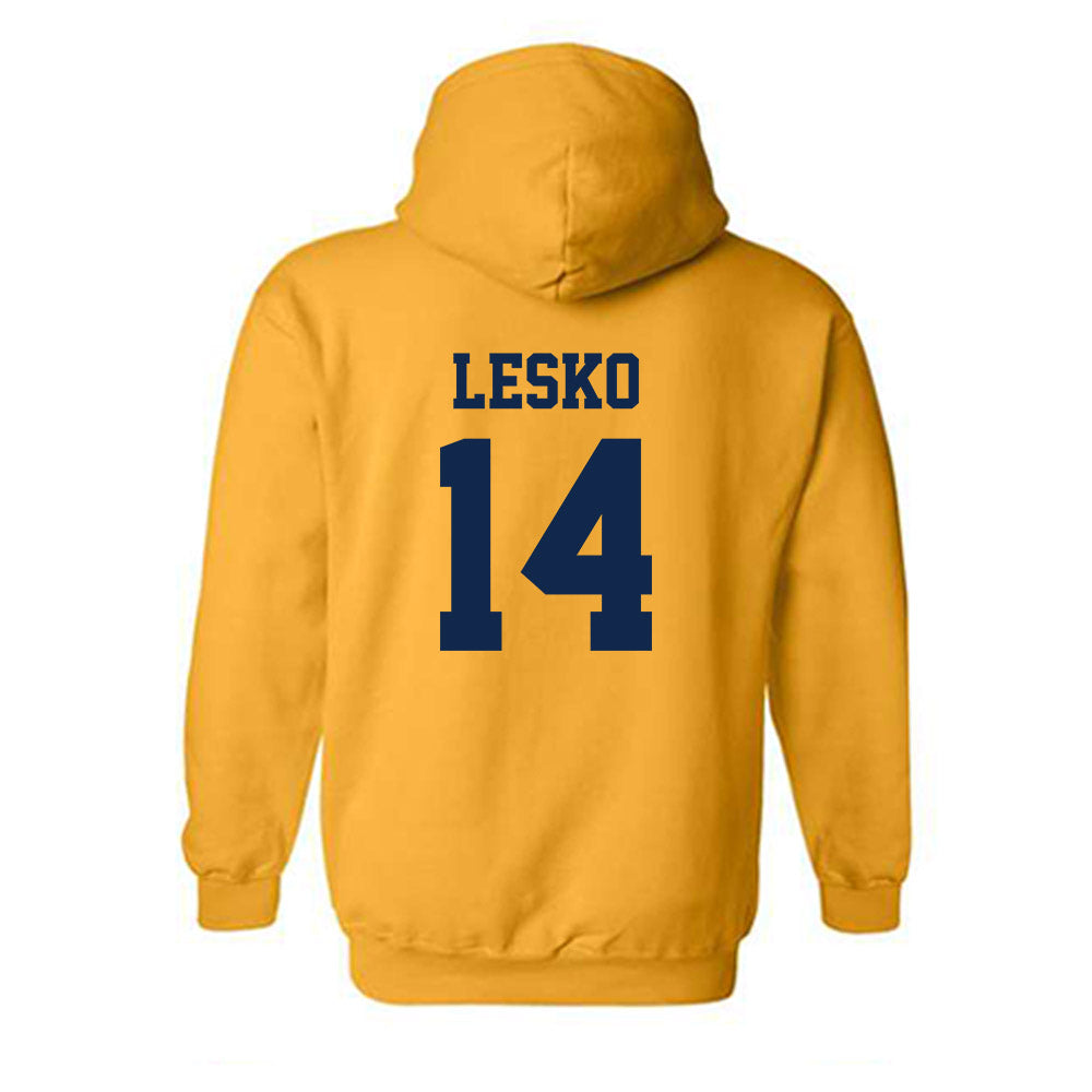 UCSD - NCAA Softball : Chloe Lesko - Classic Shersey Hooded Sweatshirt-1
