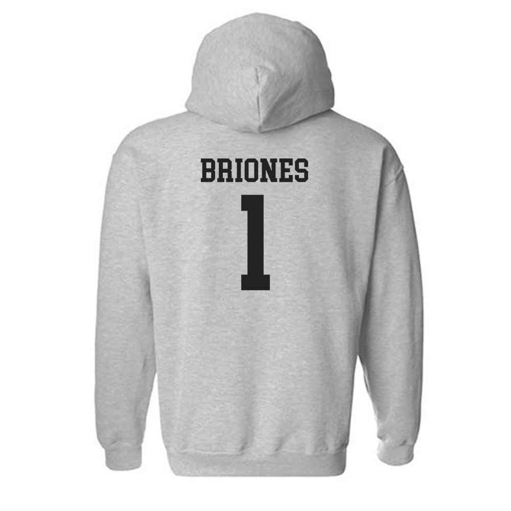 New Mexico - NCAA Softball : Gabrielle Briones - Classic Shersey Hooded Sweatshirt-1