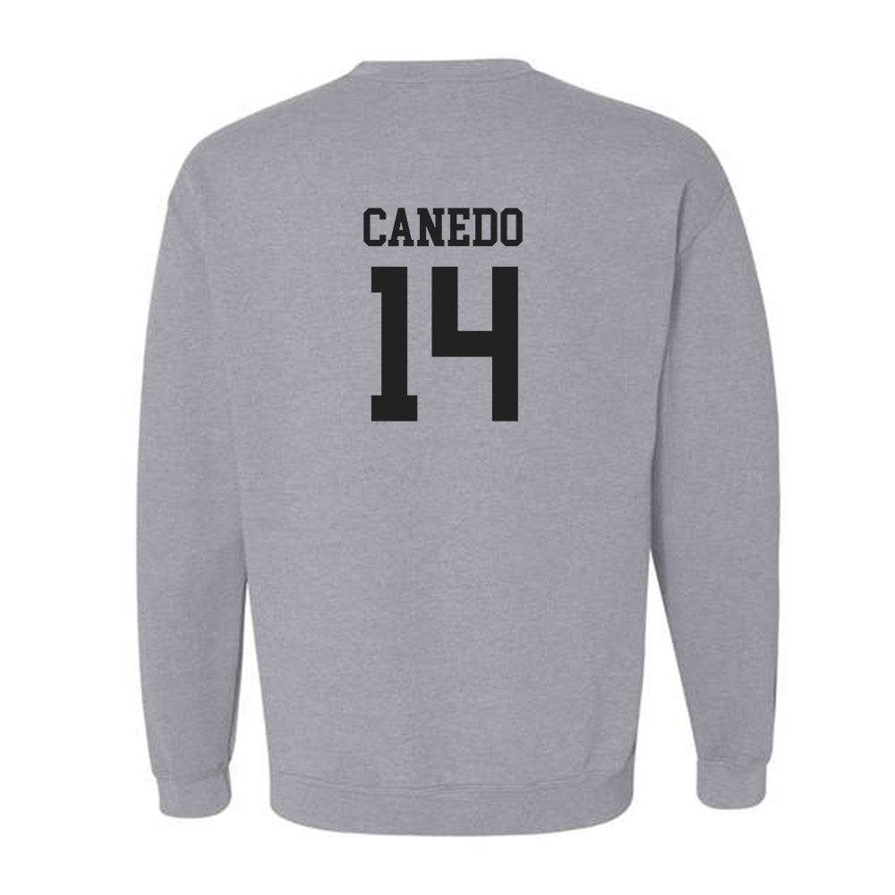 New Mexico - NCAA Women's Volleyball : Camila Canedo - Classic Shersey Crewneck Sweatshirt-1