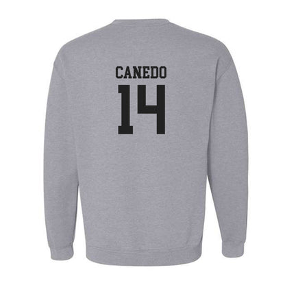 New Mexico - NCAA Women's Volleyball : Camila Canedo - Classic Shersey Crewneck Sweatshirt-1