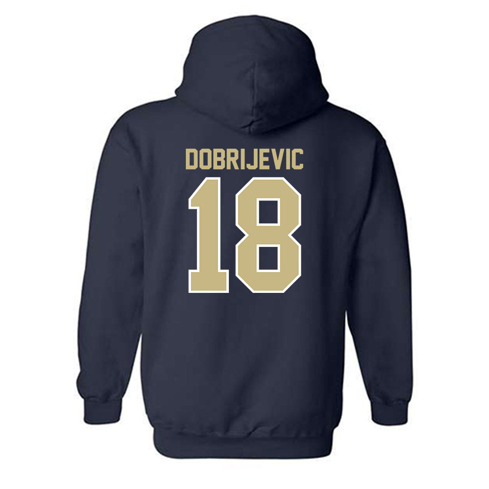 Akron - NCAA Men's Soccer : Stefan Dobrijevic - Classic Shersey Hooded Sweatshirt