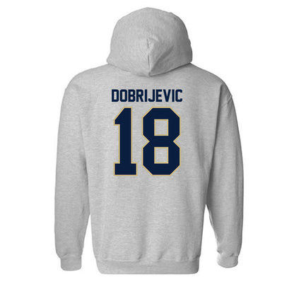 Akron - NCAA Men's Soccer : Stefan Dobrijevic - Hooded Sweatshirt