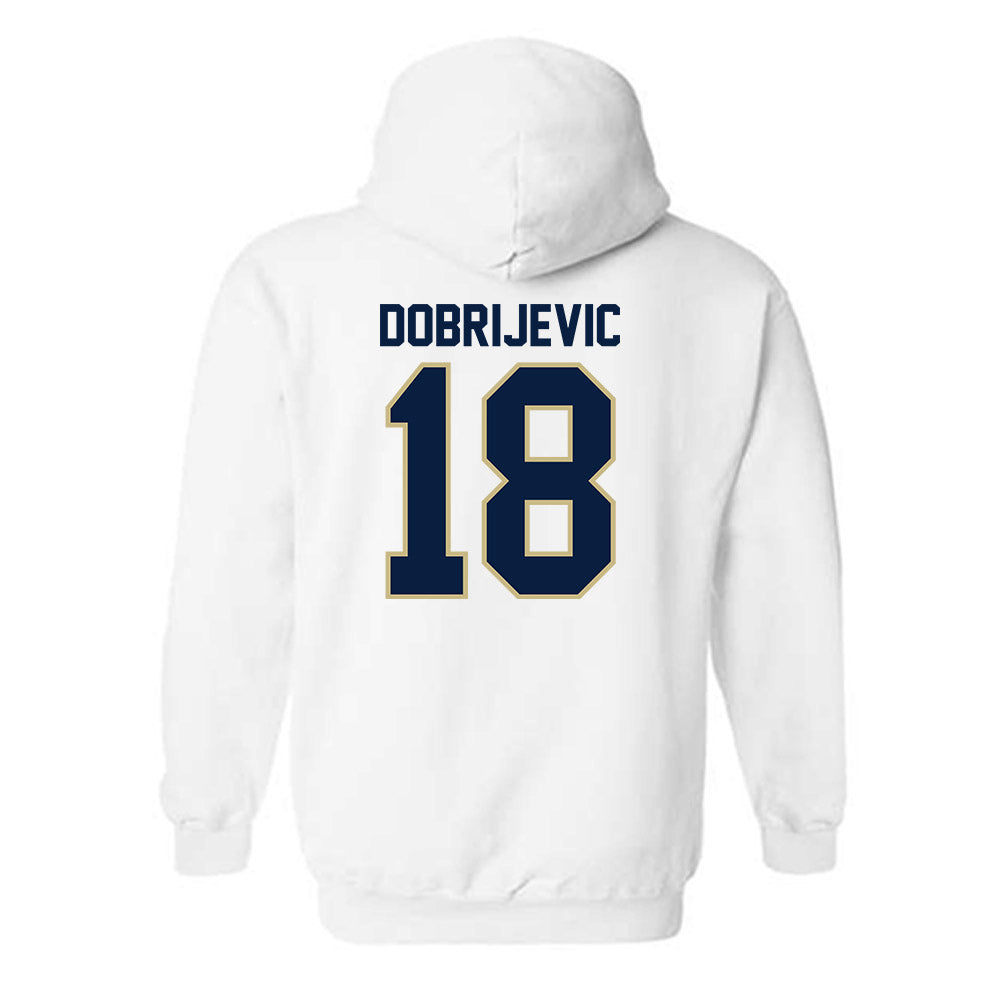 Akron - NCAA Men's Soccer : Stefan Dobrijevic - Hooded Sweatshirt
