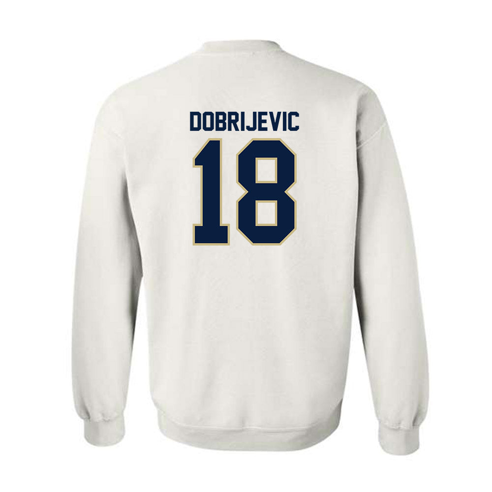 Akron - NCAA Men's Soccer : Stefan Dobrijevic - Crewneck Sweatshirt
