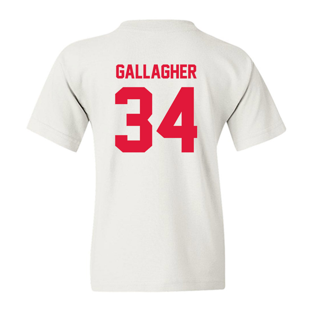 Fairfield - NCAA Men's Ice Hockey : Michael Gallagher - Classic Shersey Youth T-Shirt-1