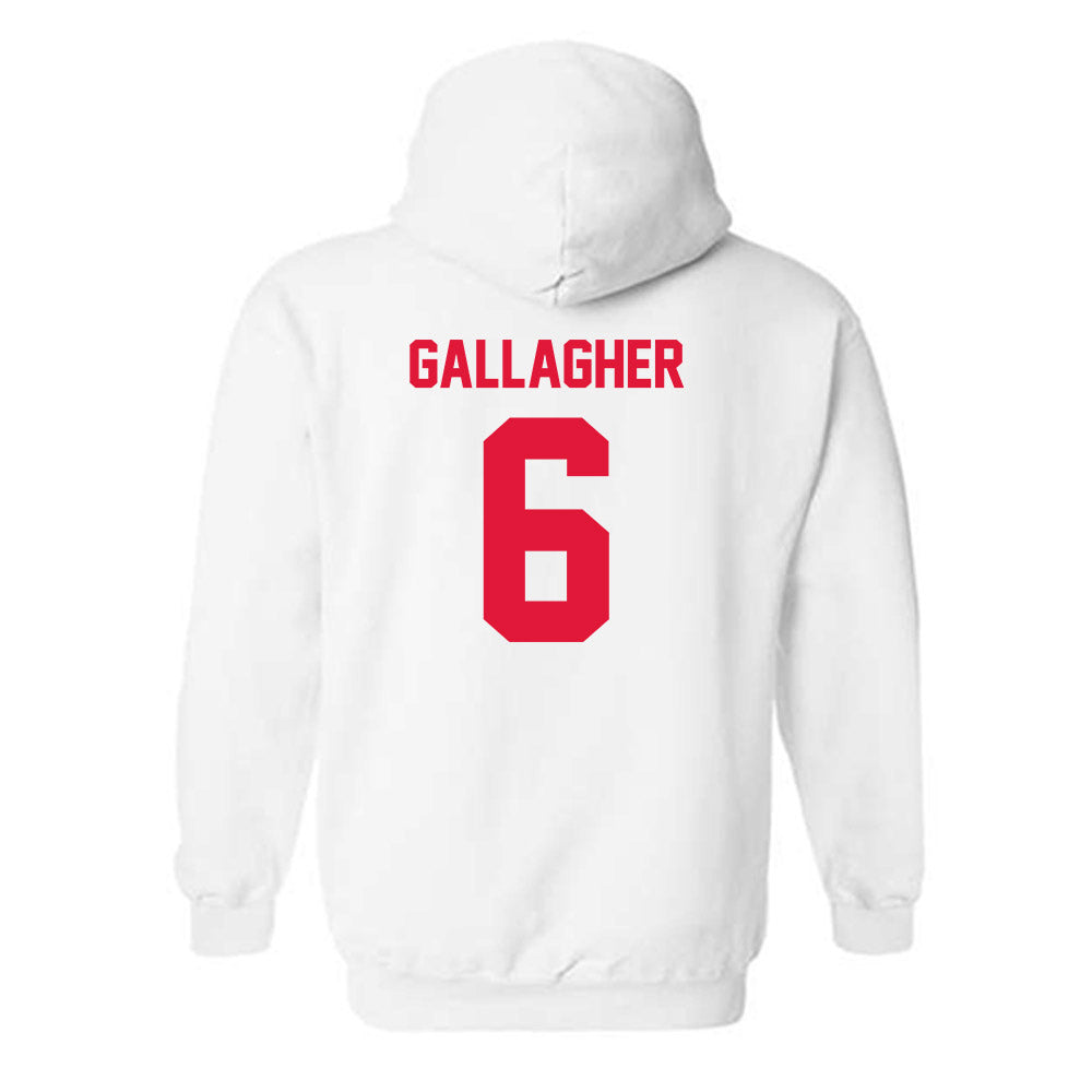 Fairfield - NCAA Men's Lacrosse : Brendan Gallagher - Classic Shersey Hooded Sweatshirt-1