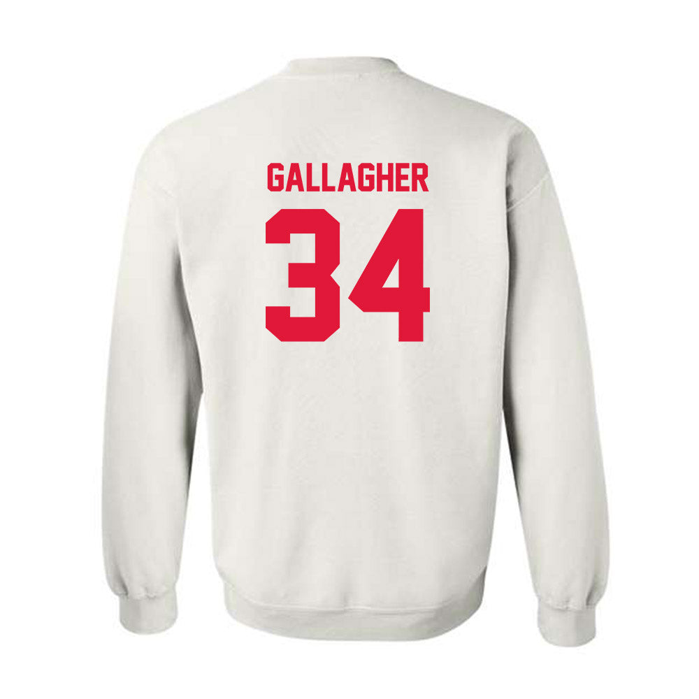 Fairfield - NCAA Men's Ice Hockey : Michael Gallagher - Classic Shersey Crewneck Sweatshirt-1