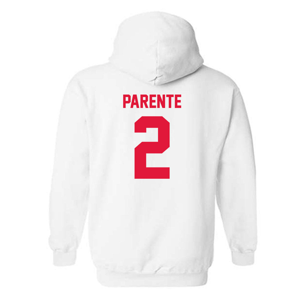 Fairfield - NCAA Men's Swimming & Diving : Jay Parente - Classic Shersey Hooded Sweatshirt-1