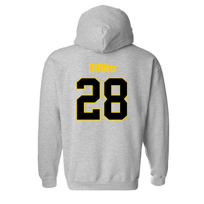 App State - NCAA Baseball : Nick DiRito - Classic Shersey Hooded Sweatshirt-1