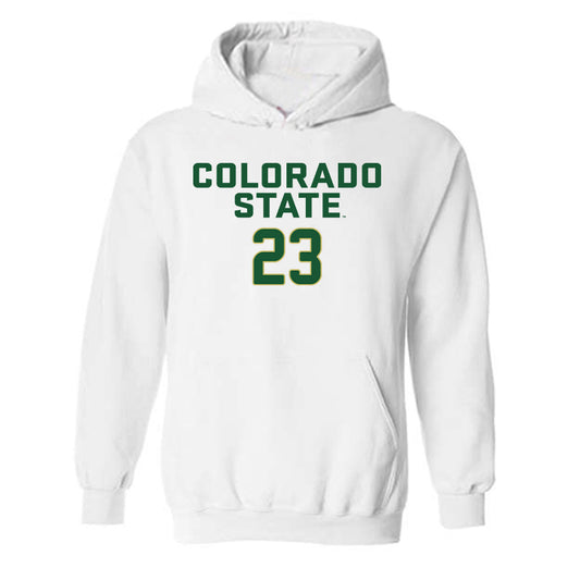 Colorado State - NCAA Women's Volleyball : Erin Debiec - Hooded Sweatshirt