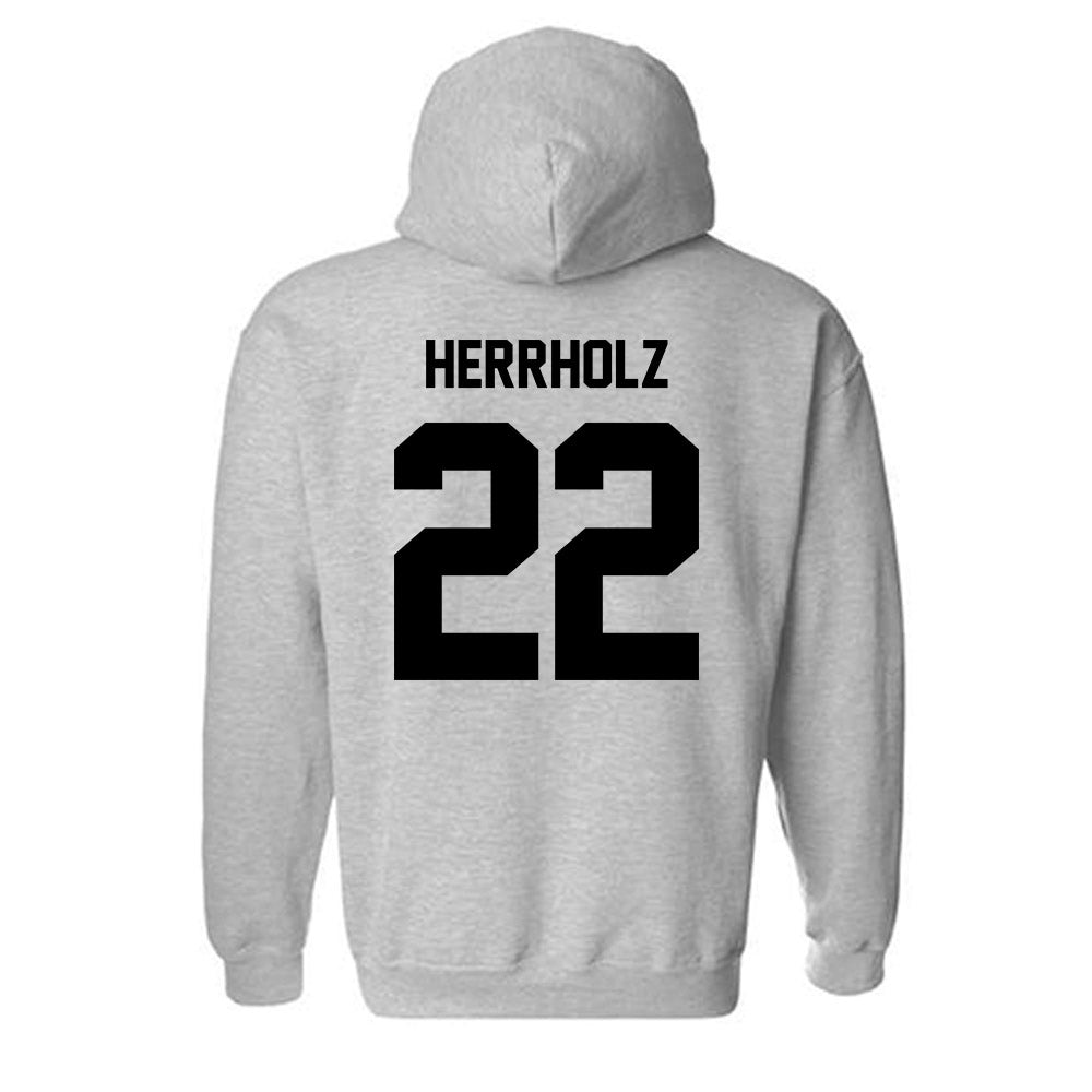 Georgia Southern - NCAA Baseball : Jp Herrholz - Classic Fashion Shersey Hooded Sweatshirt-1