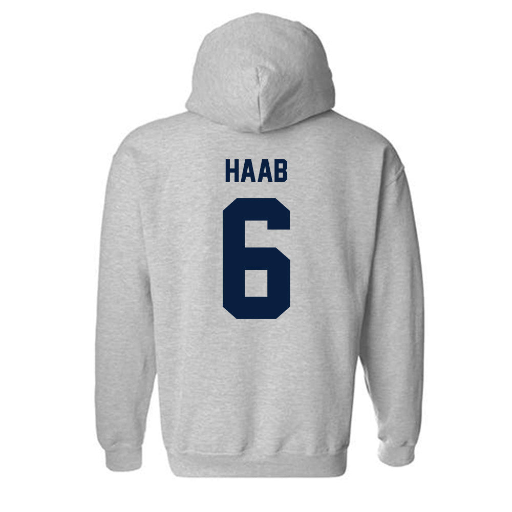 Georgia Southern - NCAA Baseball : Daniel Haab - Classic Fashion Shersey Hooded Sweatshirt-1
