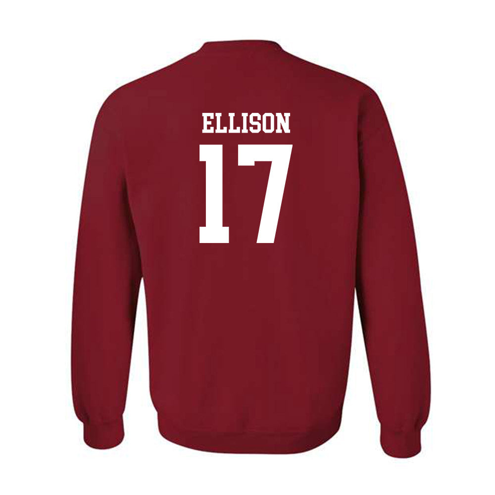 Arkansas - NCAA Women's Volleyball : Skylar Ellison - Classic Shersey Crewneck Sweatshirt