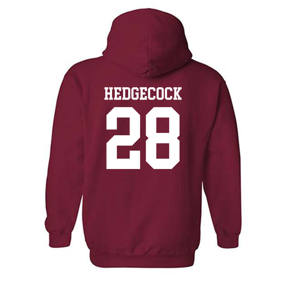 Arkansas - NCAA Softball : Rylin Hedgecock - Classic Shersey Hooded Sweatshirt