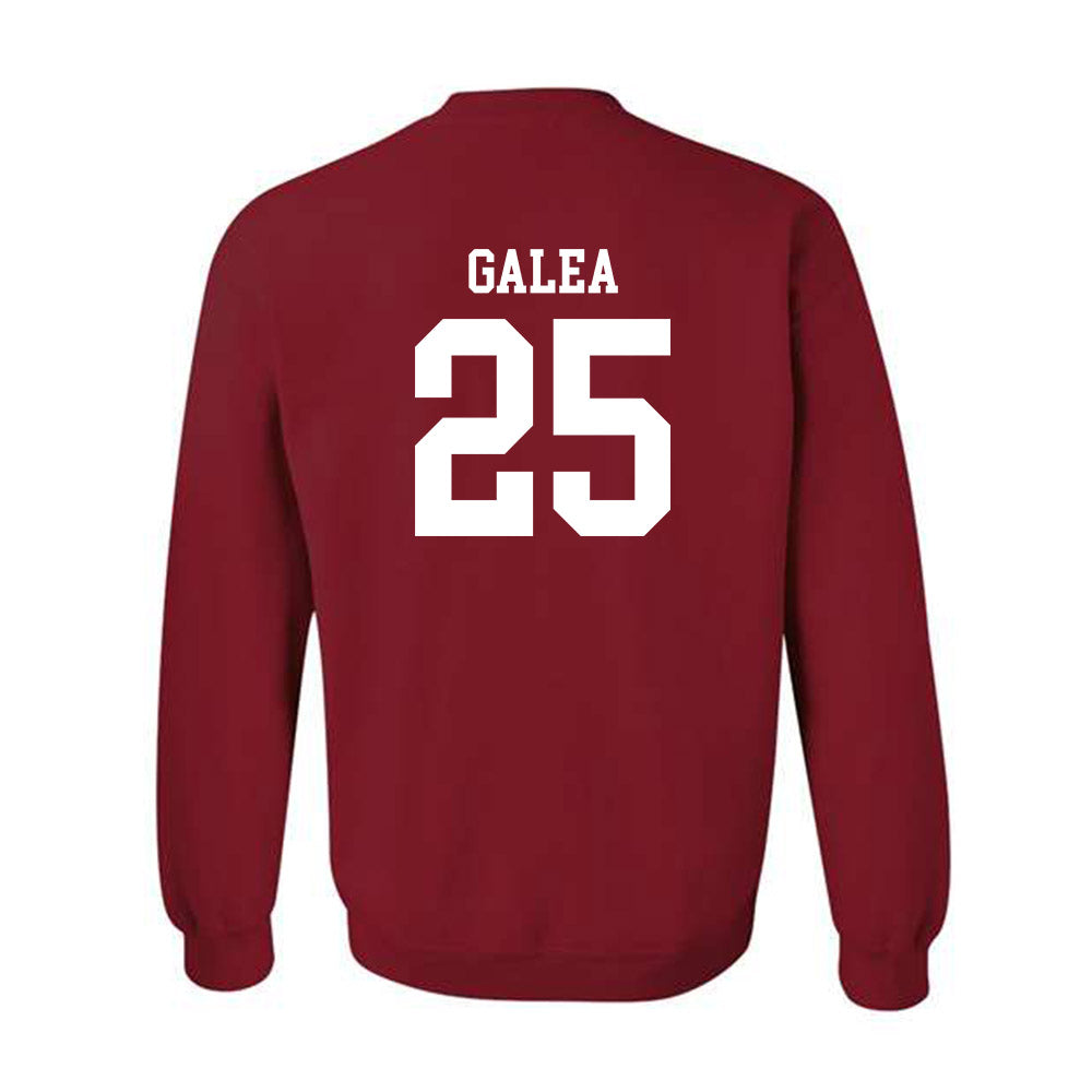 Arkansas - NCAA Women's Basketball : Danika Galea - Classic Shersey Crewneck Sweatshirt-1