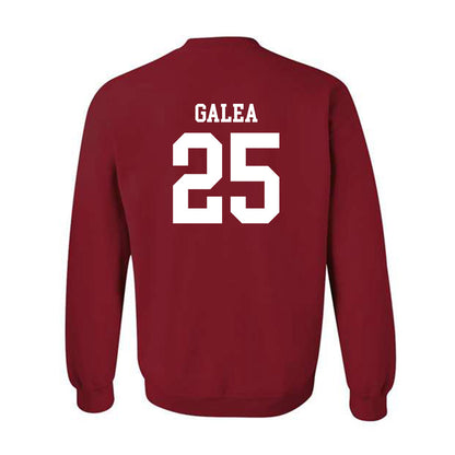Arkansas - NCAA Women's Basketball : Danika Galea - Classic Shersey Crewneck Sweatshirt-1