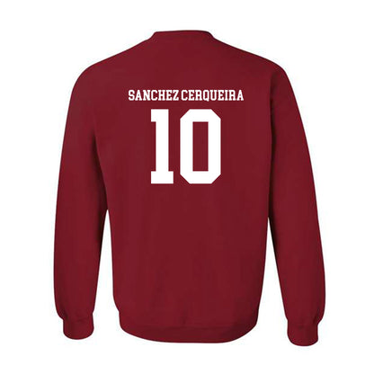 Arkansas - NCAA Women's Basketball : Cristina Sanchez Cerqueira - Classic Shersey Crewneck Sweatshirt