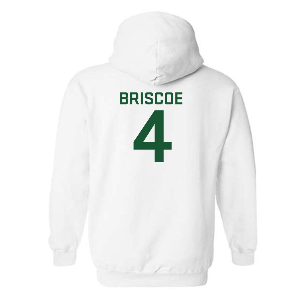 Colorado State - NCAA Women's Soccer : Kylie Briscoe - Hooded Sweatshirt-1
