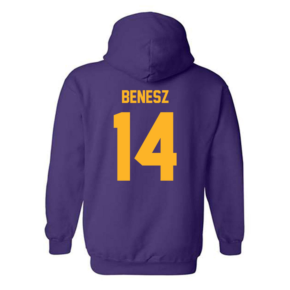 North Alabama - NCAA Beach Volleyball : Hailey Benesz - Classic Shersey Hooded Sweatshirt