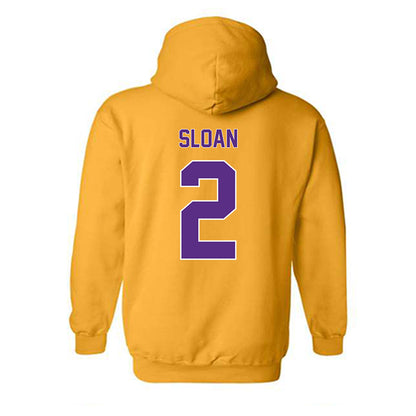 North Alabama - NCAA Baseball : Jayden Sloan - Classic Shersey Hooded Sweatshirt-1