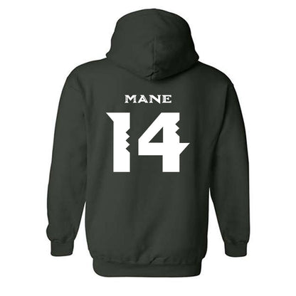 Hawaii - NCAA Women's Volleyball : Tyla Reese Mane - Replica Shersey Hooded Sweatshirt-1
