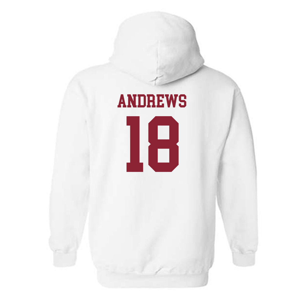 Boston College - NCAA Men's Soccer : Max Andrews - Replica Shersey Hooded Sweatshirt