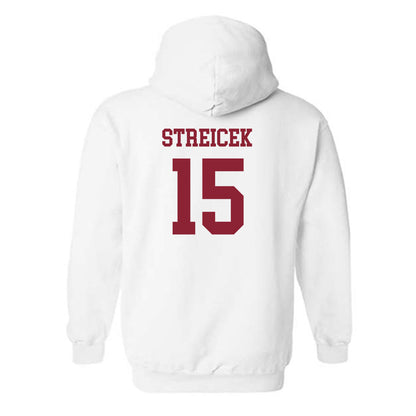 Boston College - NCAA Women's Soccer : Aislin Streicek - Replica Shersey Hooded Sweatshirt