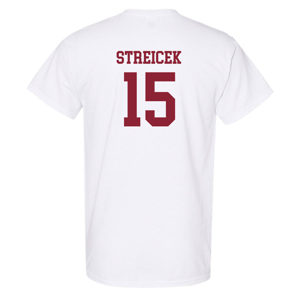 Boston College - NCAA Women's Soccer : Aislin Streicek - Replica Shersey T-Shirt