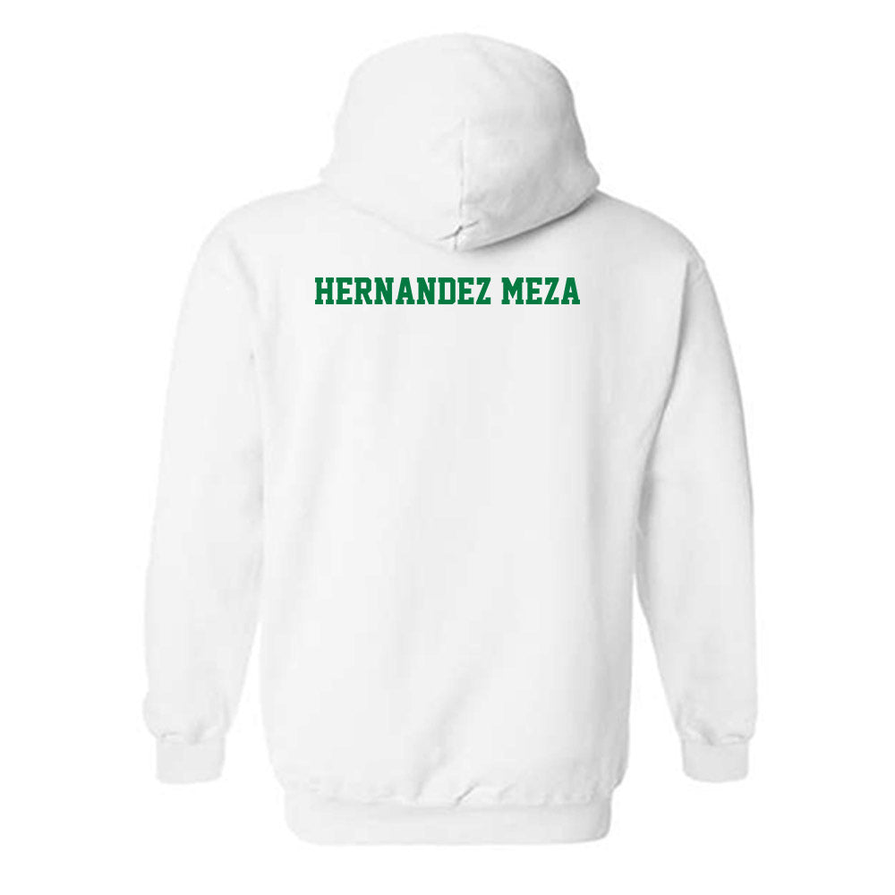 North Texas - NCAA Women's Swimming & Diving : Valeria Hernandez Meza - Classic Shersey Hooded Sweatshirt-1