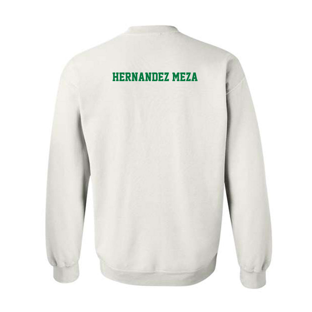 North Texas - NCAA Women's Swimming & Diving : Valeria Hernandez Meza - Classic Shersey Crewneck Sweatshirt-1