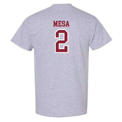 Troy - NCAA Women's Volleyball : Jaci Mesa - T-Shirt