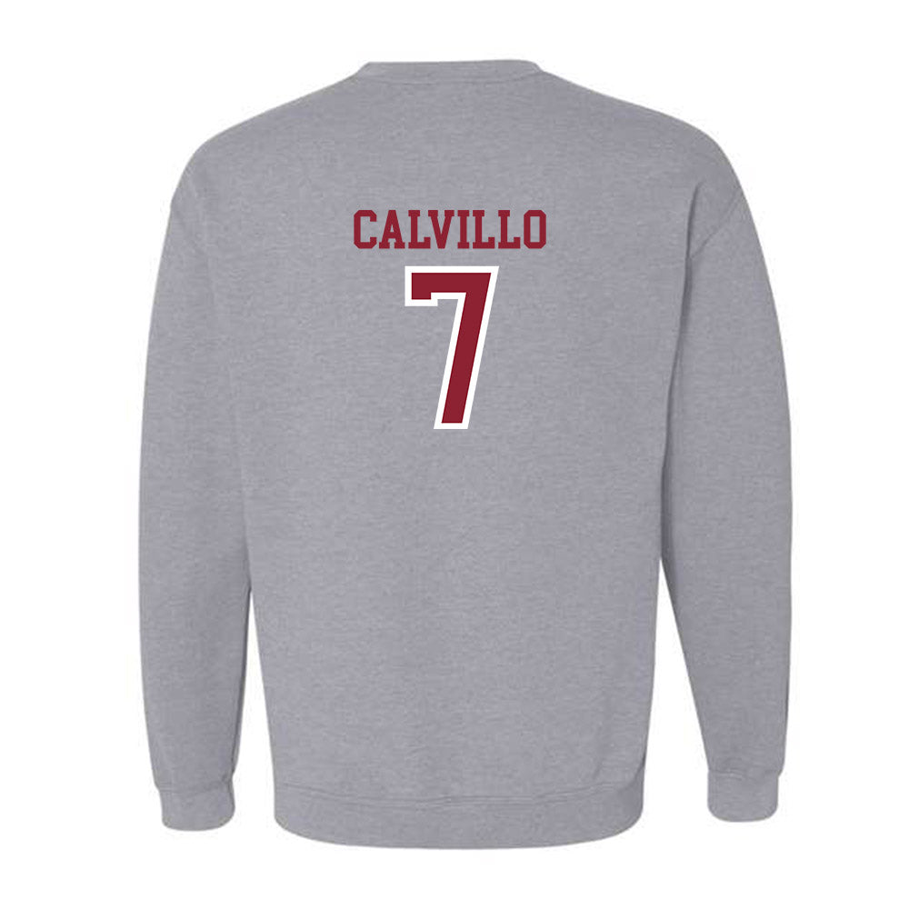 Troy - NCAA Women's Volleyball : Kalina Calvillo - Generic Shersey Crewneck Sweatshirt-1