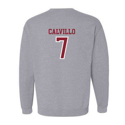 Troy - NCAA Women's Volleyball : Kalina Calvillo - Generic Shersey Crewneck Sweatshirt-1