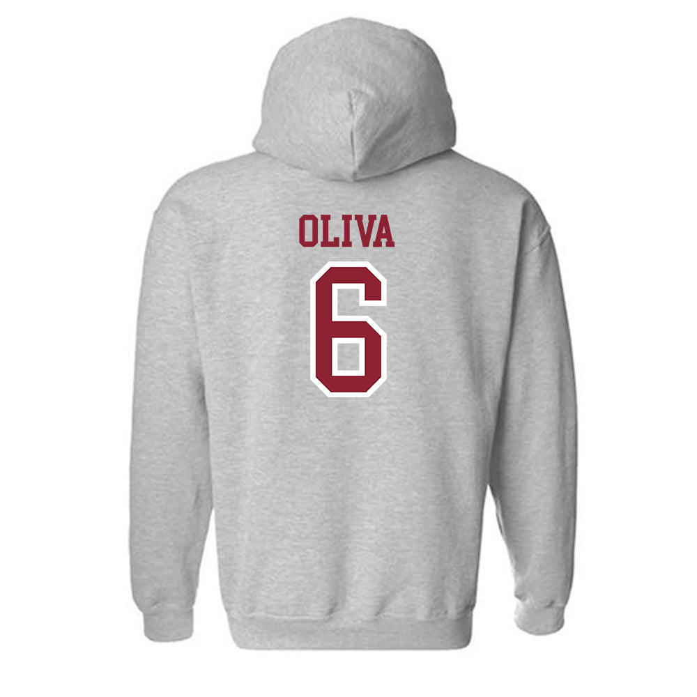 Troy - NCAA Softball : Caiden Oliva - Generic Shersey Hooded Sweatshirt-1