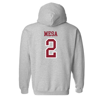 Troy - NCAA Women's Volleyball : Jaci Mesa - Hooded Sweatshirt