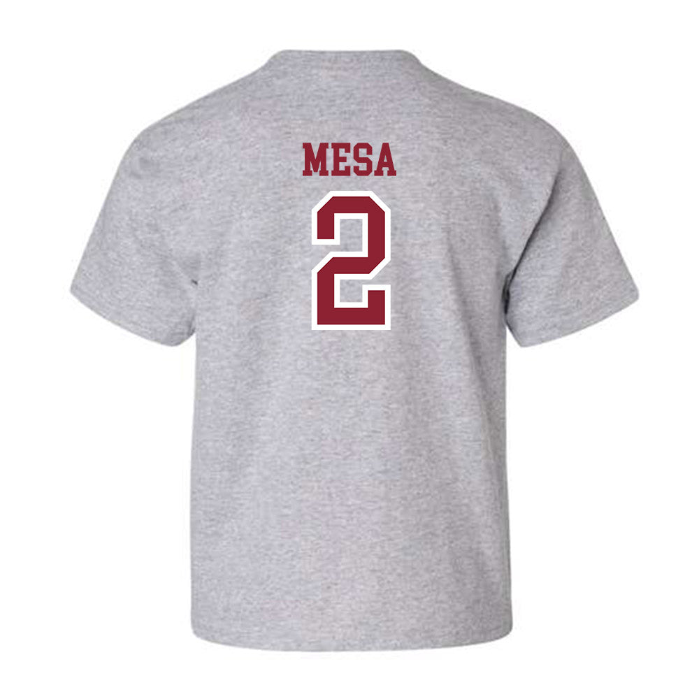 Troy - NCAA Women's Volleyball : Jaci Mesa - Youth T-Shirt