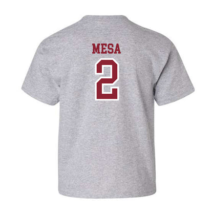 Troy - NCAA Women's Volleyball : Jaci Mesa - Youth T-Shirt