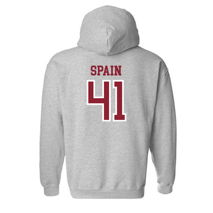 Troy - NCAA Football : Will Spain - Generic Shersey Hooded Sweatshirt