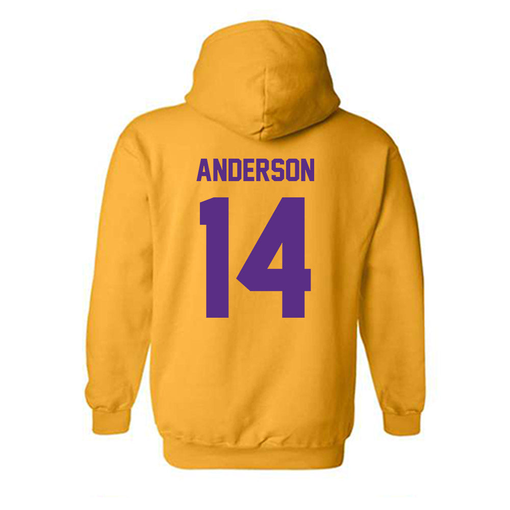 North Alabama - NCAA Beach Volleyball : Kati Anderson - Classic Fashion Shersey Hooded Sweatshirt