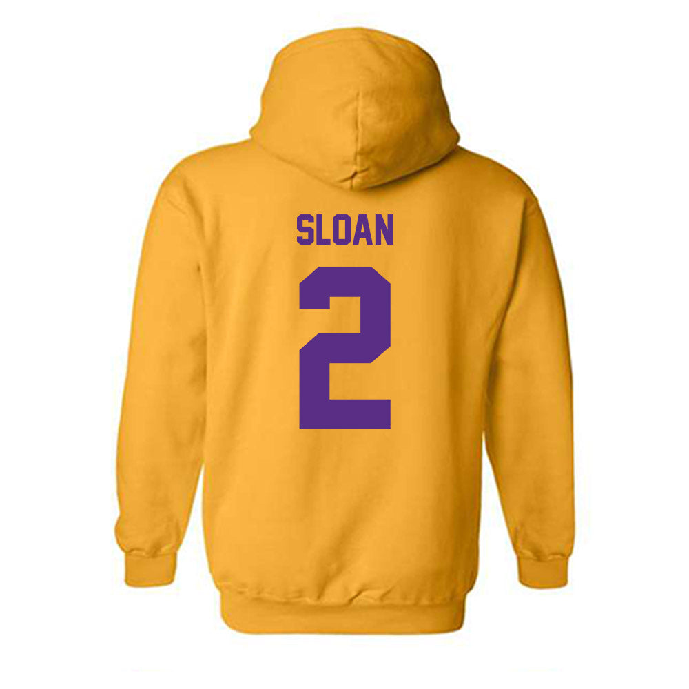 North Alabama - NCAA Baseball : Jayden Sloan - Classic Fashion Shersey Hooded Sweatshirt-1