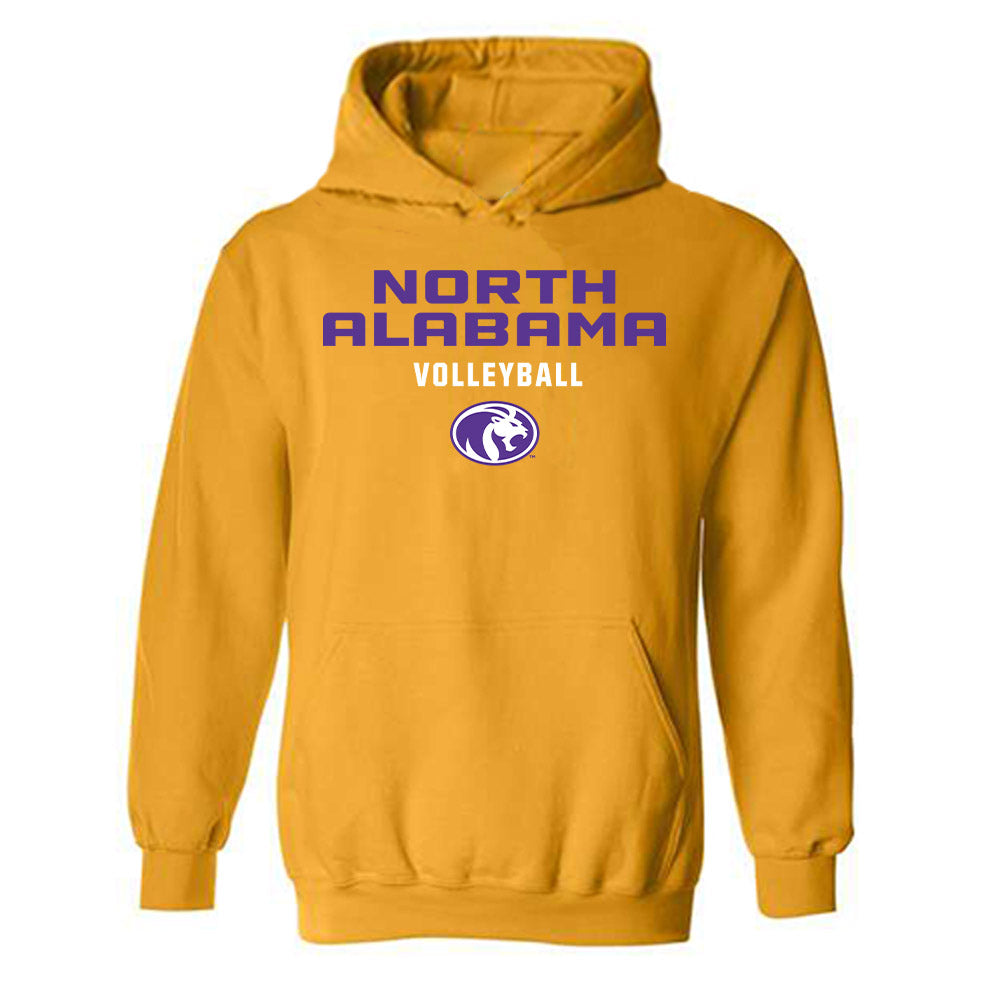 North Alabama - NCAA Women's Volleyball : Jolana Smidlova - Classic Shersey Hooded Sweatshirt-0