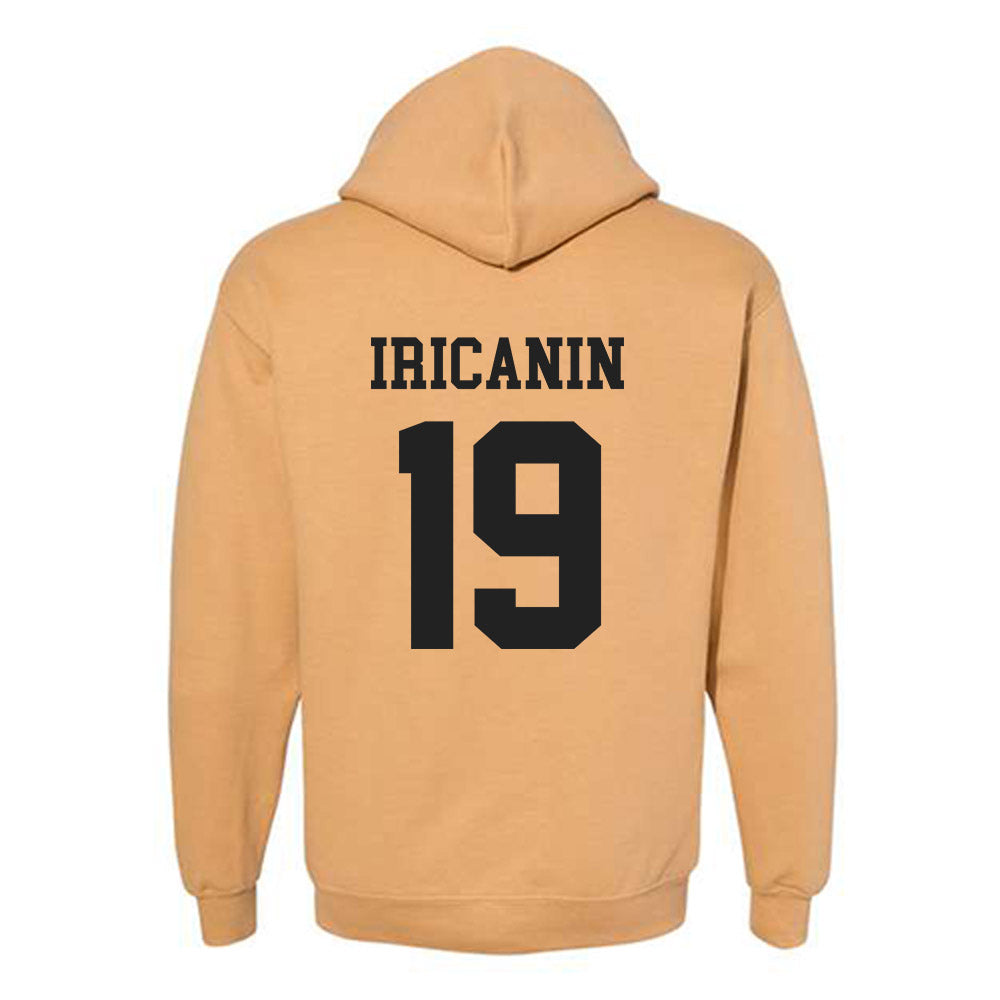 PFW - NCAA Men's Soccer : Stefan Iricanin - Classic Fashion Shersey Hooded Sweatshirt-1