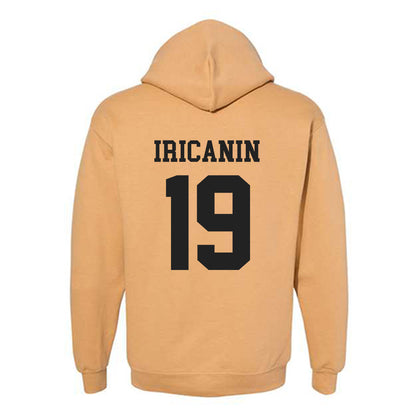 PFW - NCAA Men's Soccer : Stefan Iricanin - Classic Fashion Shersey Hooded Sweatshirt-1