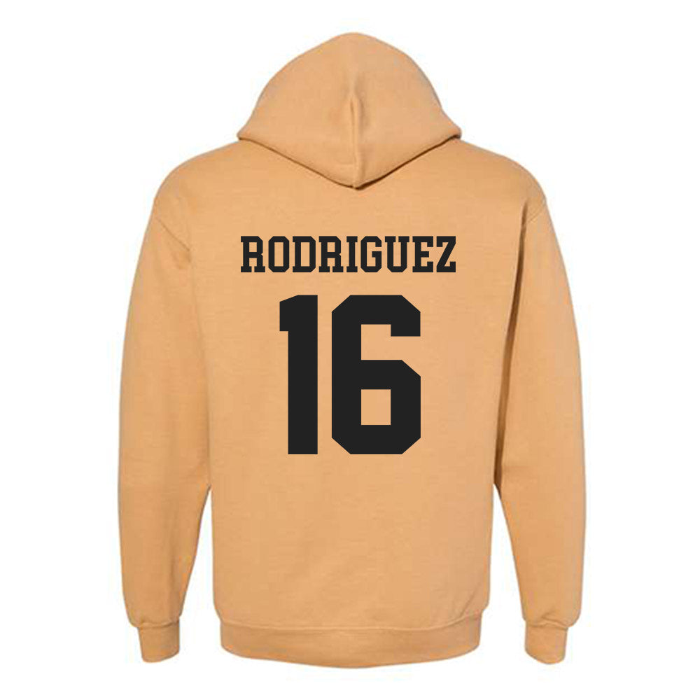 PFW - NCAA Men's Soccer : Angel Rodriguez - Classic Fashion Shersey Hooded Sweatshirt-1