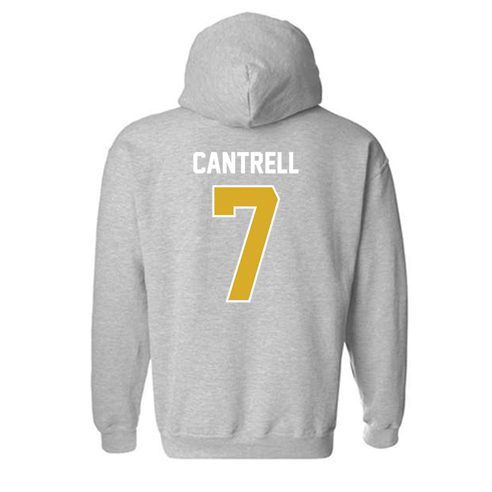 PFW - NCAA Softball : Morgan Cantrell - Classic Fashion Shersey Hooded Sweatshirt