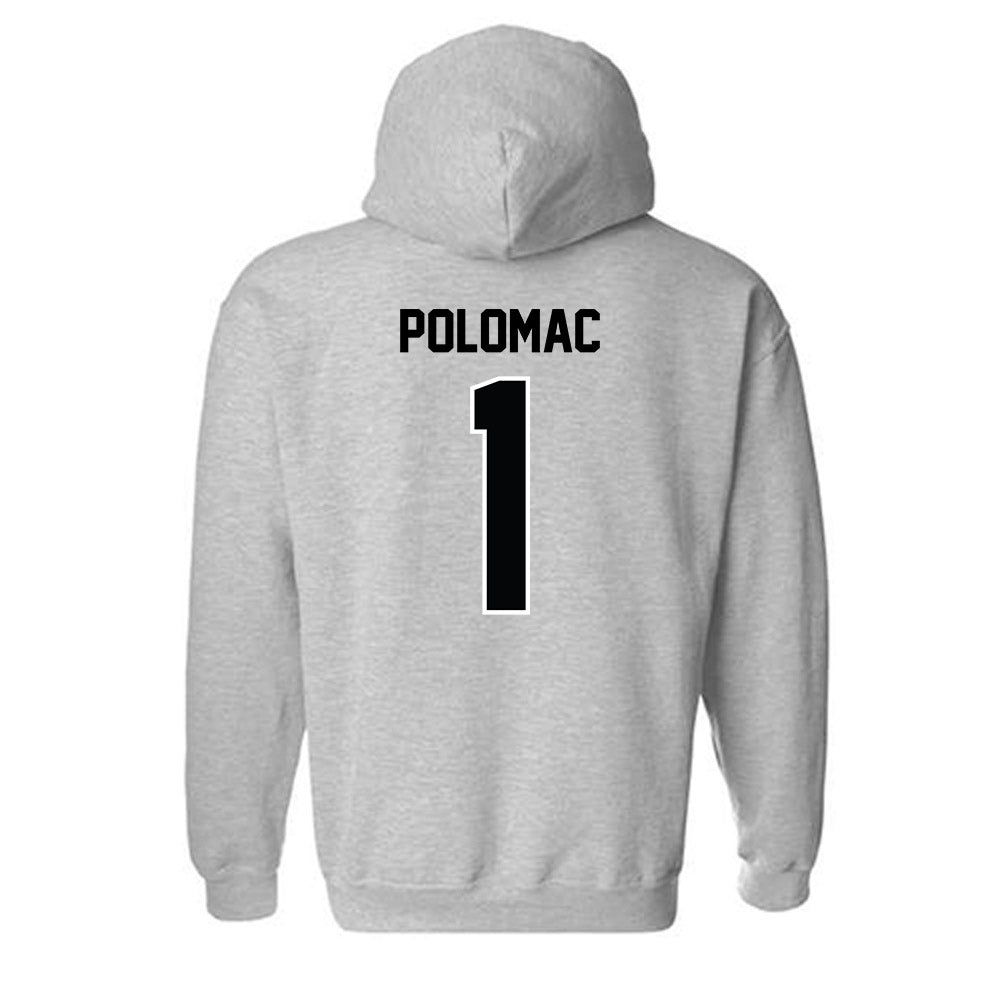 PFW - NCAA Men's Volleyball : Andrej Polomac - Classic Shersey Hooded Sweatshirt